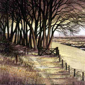 Hill Path